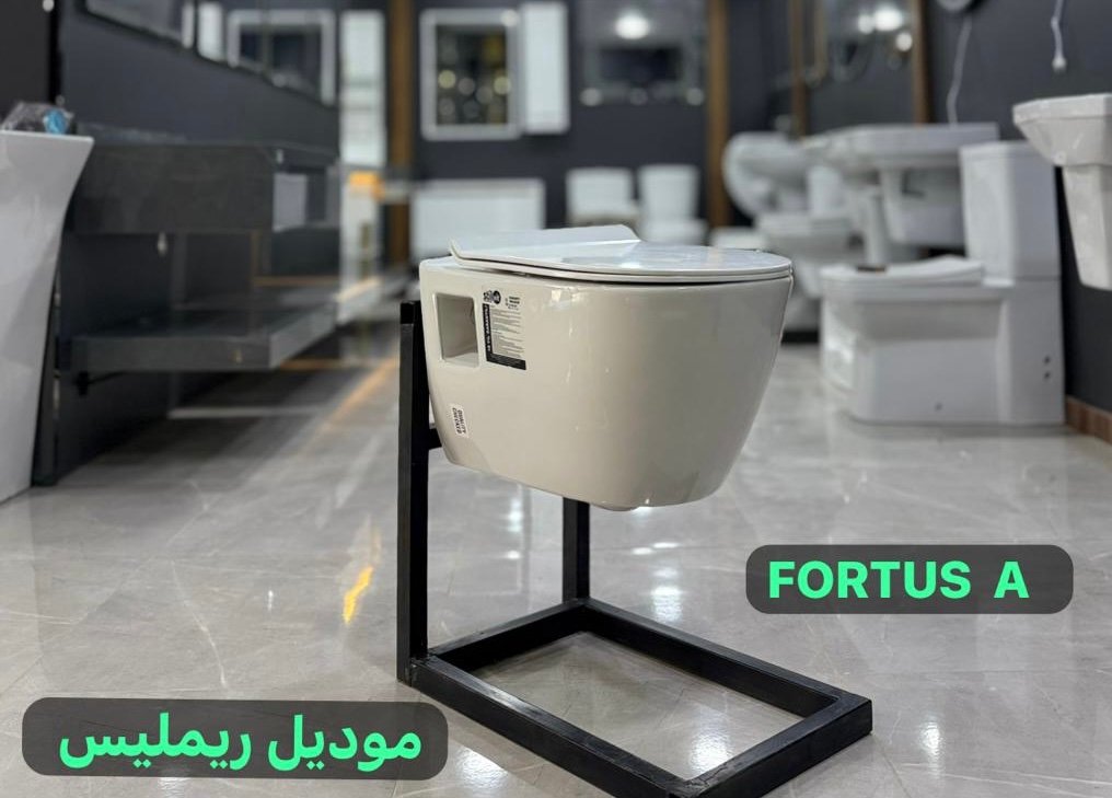 Fortus A
